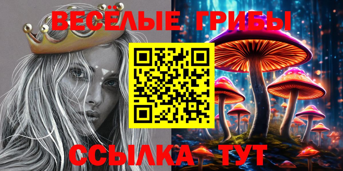 Усолье-Сибирское  Галлюциногенные грибы Psilocybine cubensis  где купить   Галлюциногенные грибы Magic Shrooms  Вход с VPN 